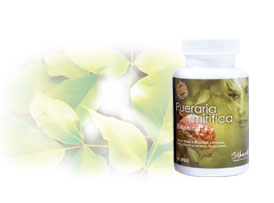 St. herb Pueraria Capsules from Thailand